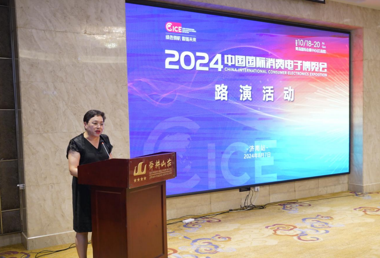 2024年中国国际消费电子博览会济南站圆满落幕(图7)